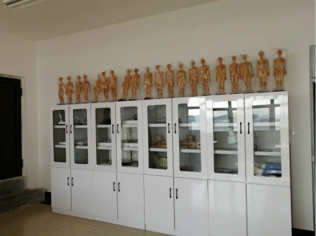 石家莊冀聯醫學院中醫康復保健專業