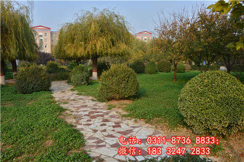 石家莊冀聯醫學院能減免學費嗎？