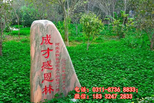 石家莊冀聯醫學院3+3大專要多少分？