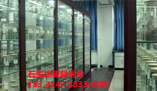 石家莊冀聯醫學院中藥專業中專班